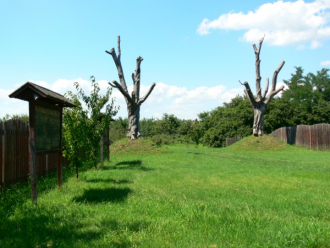 Cseresznyefa-gyűjtemény – 5. kép